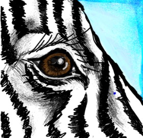 Zebra-Zeichnung von Dettale