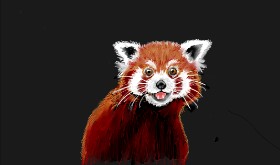 SAM AKA MARGARET 🙄 の レッサーパンダ の絵