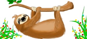 DebbyLee の ナマケモノ の絵