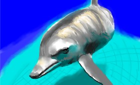 Herbert の イルカ の絵