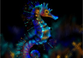 Moon の タツノオトシゴ の絵