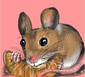 Drawing of Croissant by Leah