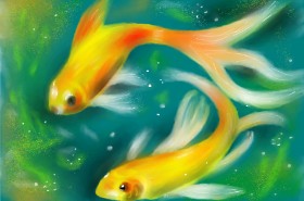 Wizard の 金魚 の絵