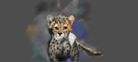 Çhåching の チーター の絵