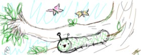 Drawing of Caterpillar by Rosa