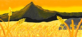 Pšenica - autor: sassyturkey