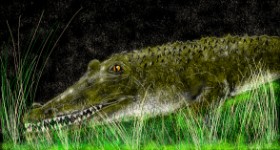 Eclat de Lune の アリゲーター の絵