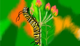 Drawing of Caterpillar by SAM AKA MARGARET 🙄