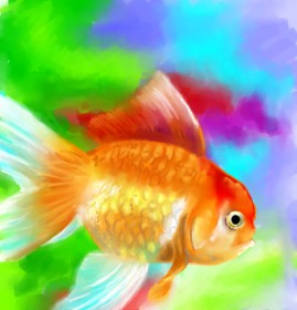 ⋆su⋆vinci彡 の 金魚 の絵