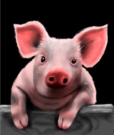 Drawing of Pig by Яandi