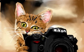 Fotoaparat - autor: Rose rocket