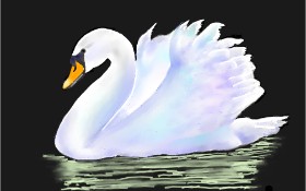 GJP の 白鳥 の絵
