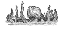 Drawing of Octopus by Archangel