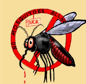 Drawing of Mosquito by Leah