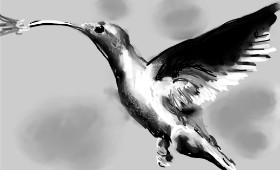 DrawSomething の ハチドリ の絵