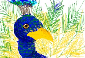Vixie の 孔雀 の絵