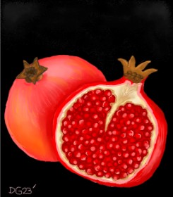 Drawing of Pomegranate by GreyhoundMama