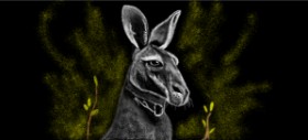 Drawing of Kangaroo by Çhåching