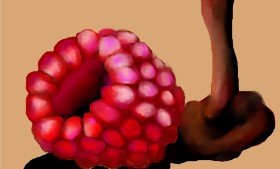 Sirak Fish の ラズベリー の絵