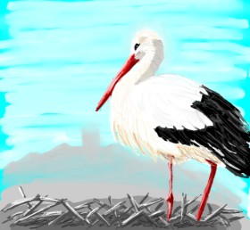 Drawing of Stork by Coyote