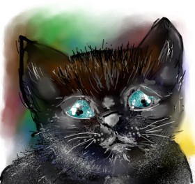 Eclat de Lune の 猫 の絵