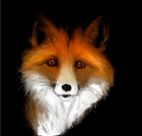 camay の キツネ の絵