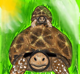 Gzell の カメ の絵