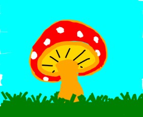Kamie の きのこ の絵
