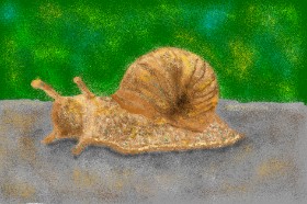 Abbie の カタツムリ の絵