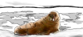 Рисунок на тему «Морж» — автор: Sadreign Superemo