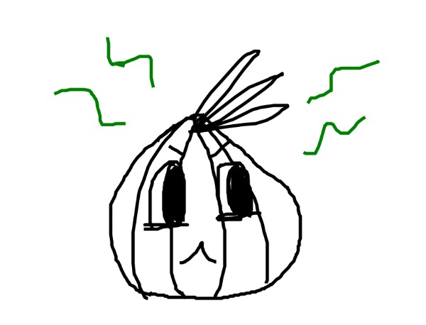 Drawing of Onion by bearSarCoolIoyKnow