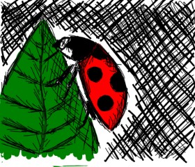 Feli の てんとう虫 の絵