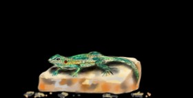 Eclat de Lune の トカゲ の絵
