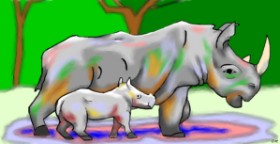 Drawing of Rhino by Swimmer 