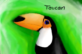 Drawing of Toucan by bon bon bunny