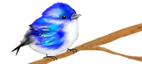 Kim の 鳥 の絵