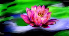 Drawing of Water lily by Mia