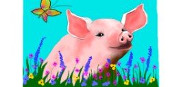 Drawing of Pig by DebbyLee