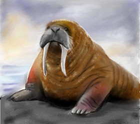 Рисунок на тему «Морж» — автор: Lou