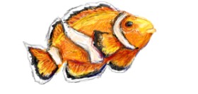 Paranoia の 魚 の絵