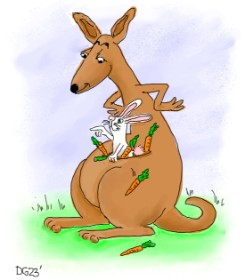 GreyhoundMama の カンガルー の絵