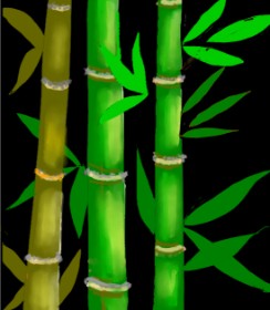 Drawing of Bamboo by §TMJ