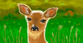 shiNIN の 鹿 の絵