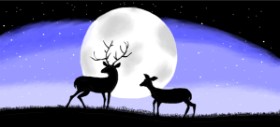 Debidolittle の 鹿 の絵