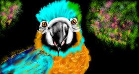Eclat de Lune の 鳥 の絵