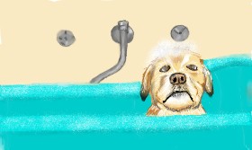 Drawing of Bathtub by Tim