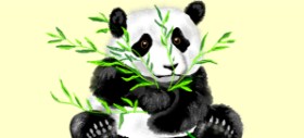 Рисунок на тему «Панда» — автор: Debidolittle