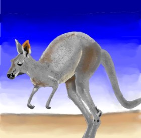 Joze の カンガルー の絵
