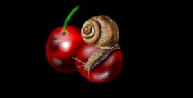 Drawing of Snail by Eclat de Lune
