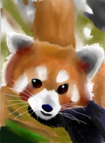 Moby  の レッサーパンダ の絵